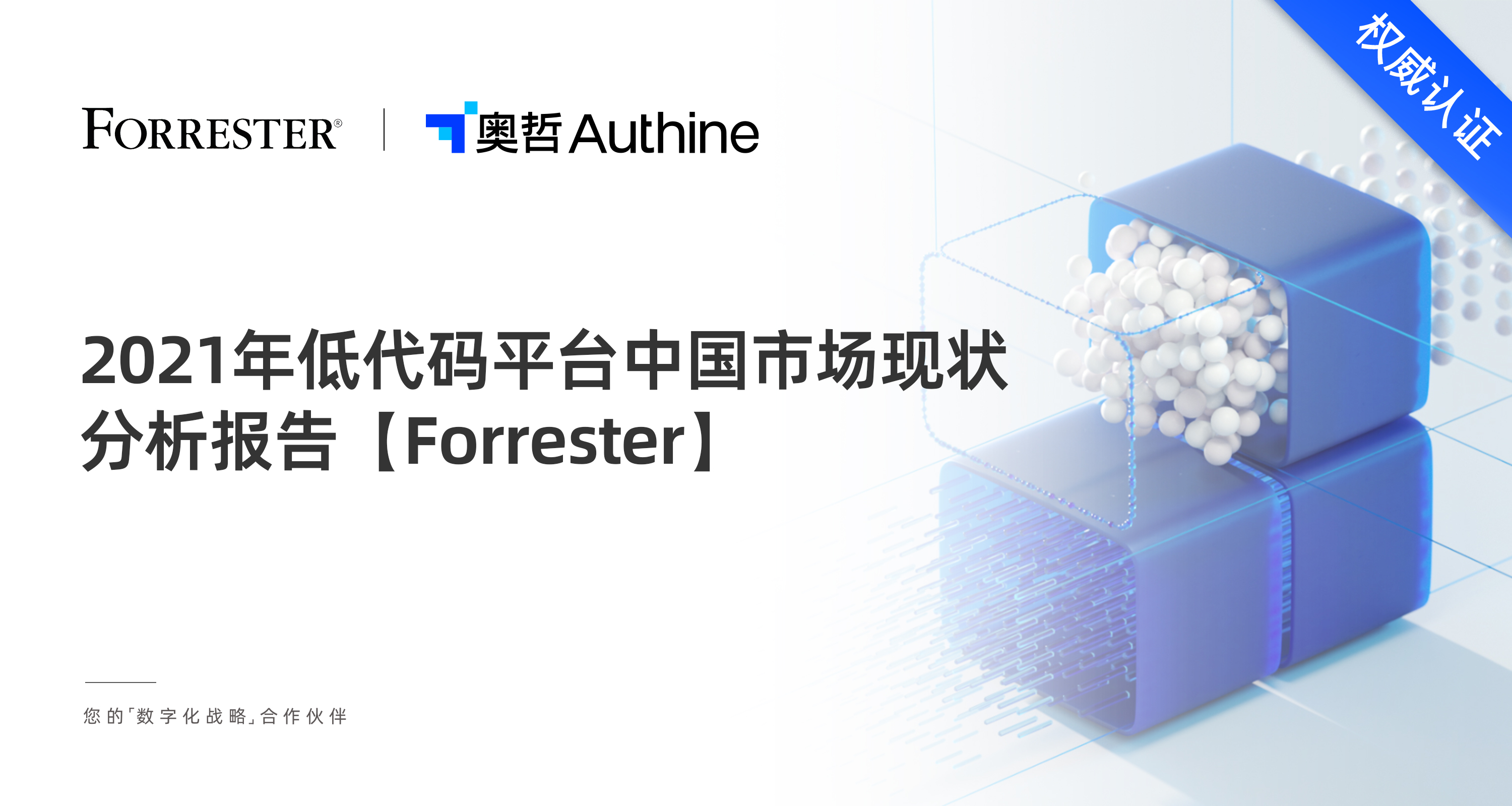 Forrester 2021年低代码平台中国市场现状分析报告